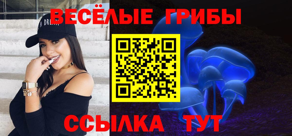 Псилоцибиновые грибы прущие грибы  Псилоцибиновые грибы Psilocybe  Урай  Вход с VPN 